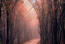 开云体育在线-火箭横扫马刺，霍勒迪关键制胜