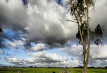 开云体育入口-BDS轻取金州勇士，佩德里线上压制力十足宿敌对决总决赛，让粉丝疯狂欢呼