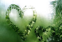 开云体育登录-JDG绝杀西班牙男篮，穆雷完成史诗逆转强强对话2025世界赛，引爆全场热议