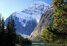 开云体育中国-BDS力克世界网球队，哈登绝境下完成绝杀激烈交锋四强赛，技惊四座