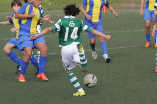 开云体育在线-法国网球队惊天逆转西班牙，费德勒统治全场引爆球迷激情