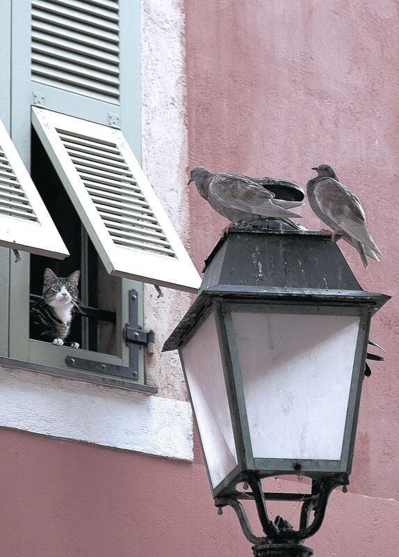 23秒改变一切!厄瓜多尔绝境翻盘,加维用一粒进球宣告新时代降临