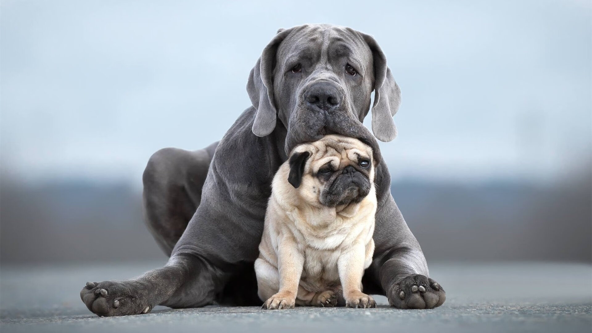 卡马文加一锤定音！解析尤文对阵伊朗的关键战役，新时代中场已露峥嵘